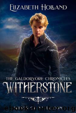 Witherstone- Wings of My Legion by Elizabeth Holland