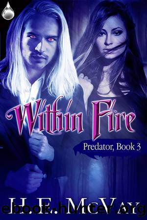 Within Fire by H.E. McVay