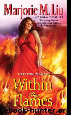 Within the Flames (DS11) by Liu Marjorie M