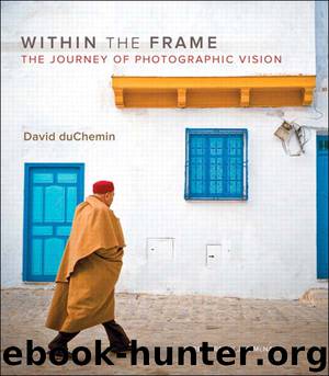Within the Frame (Victoria Bampton's Library) by David duChemin