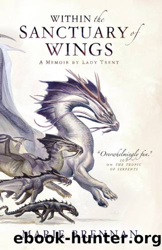 Within the Sanctuary of Wings (A Natural History of Dragons) by Marie Brennan