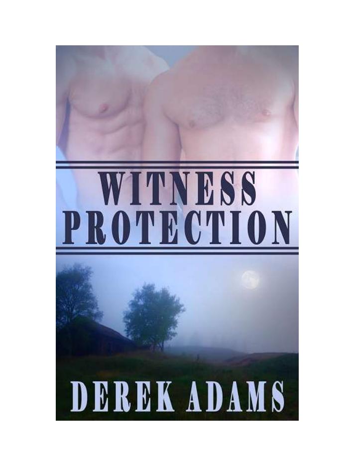 Witness Protection by Derek Adams