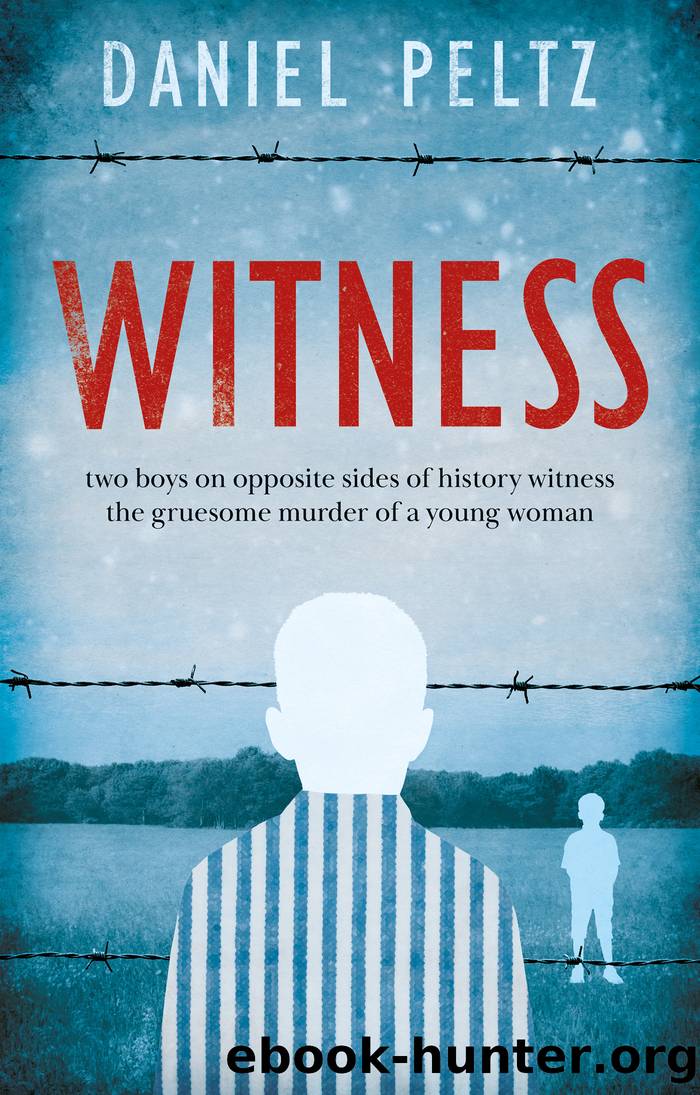 Witness by Daniel Peltz
