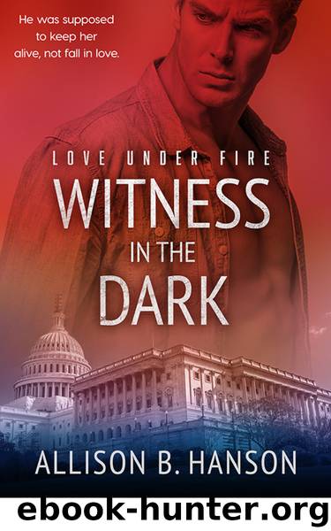 Witness in the Dark by Allison B. Hanson