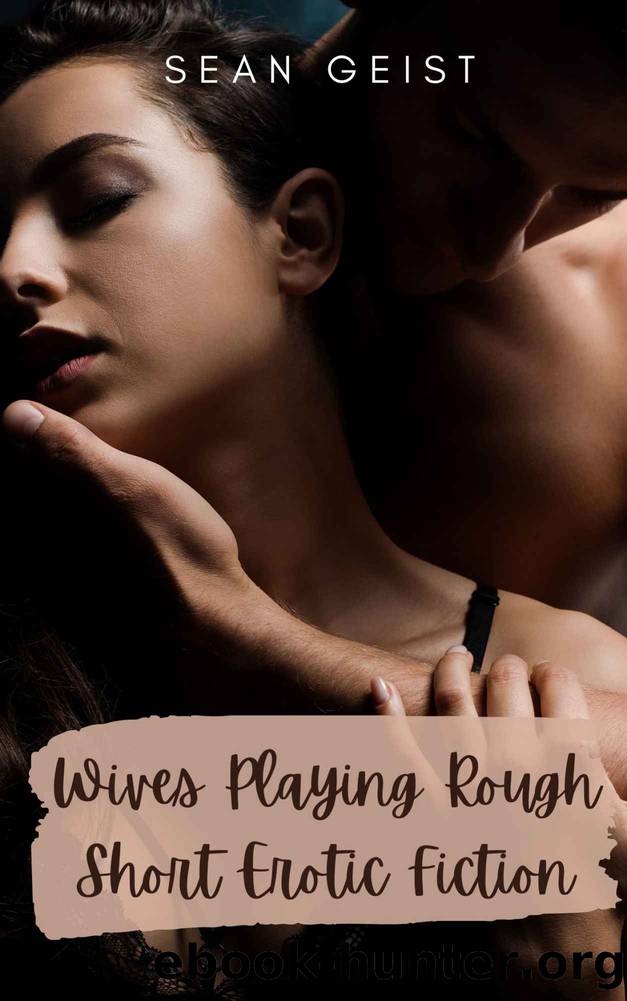 Wives Playing Rough: Short Erotic Fiction Vol. 1 by Sean Geist