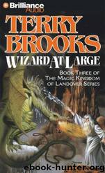 Wizard At Large by Terry Brooks