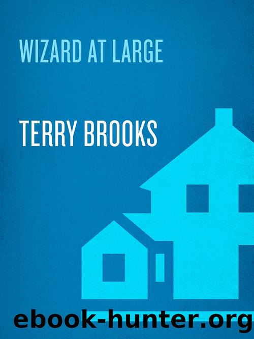 Wizard at Large (Magic Kingdom of Landover series Book 3) by Terry Brooks