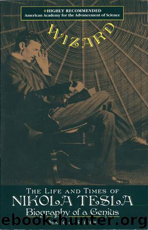 Wizard by Marc Seifer