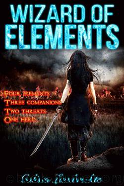 Wizard of Elements by Calista Lambrechts