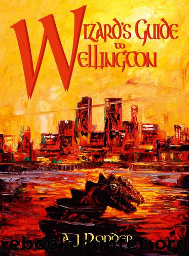 Wizard's Guide to Wellington by A J Ponder