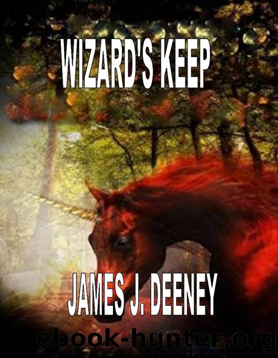Wizard's Keep by James J. Deeney