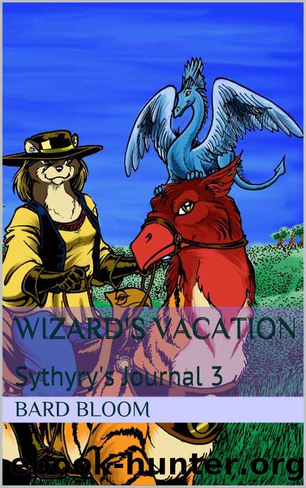 Wizard's Vacation: Sythyry's Journal 3 by Bard Bloom