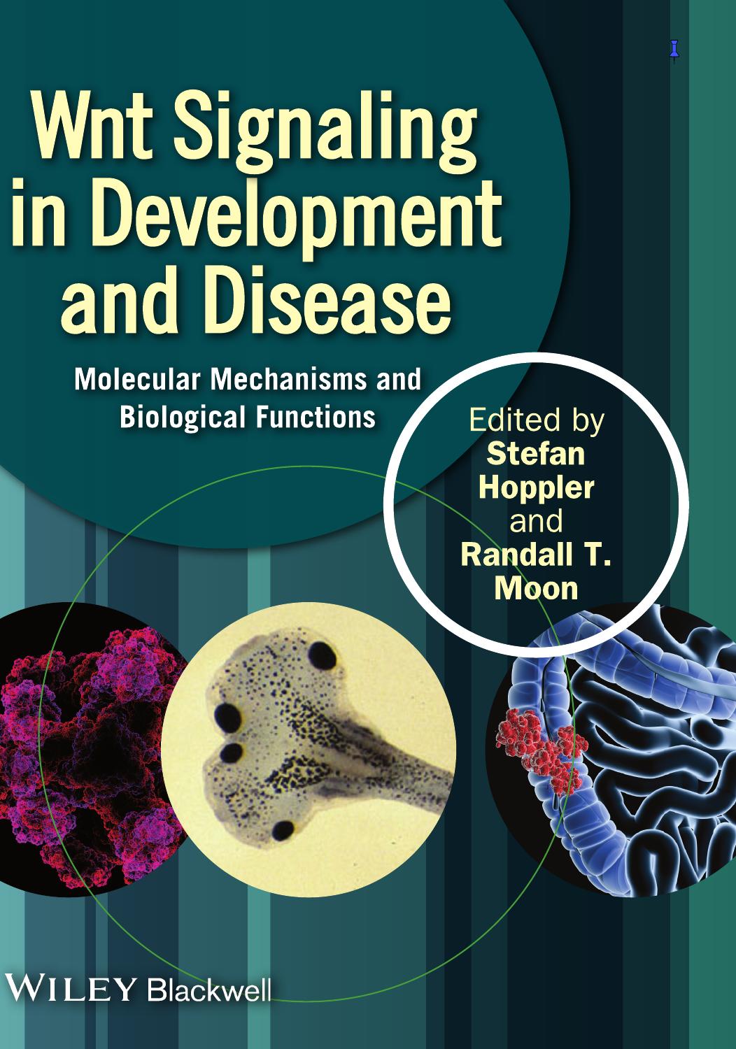 Wnt Signaling in Development and Disease : Molecular Mechanisms and Biological Functions by Stefan P. Hoppler; Randall T. Moon