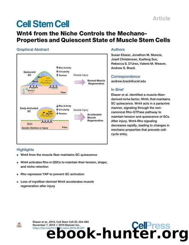 Wnt4 from the Niche Controls the Mechano-Properties and Quiescent State of Muscle Stem Cells by unknow