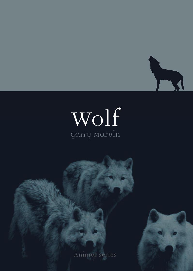 Wolf (Animal) by Garry Marvin