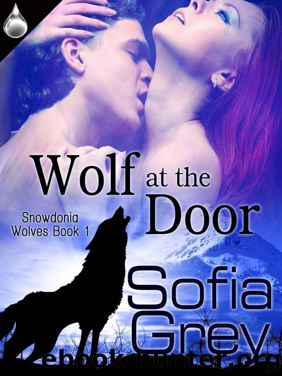 Wolf At the Door (Snowdonia Wolves, Book 1) by Grey Sofia