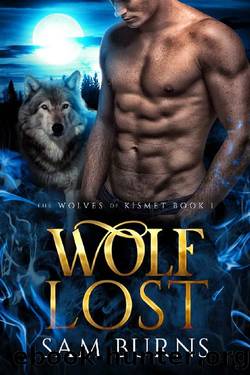 Wolf Lost (The Wolves of Kismet Book 1) by Sam Burns