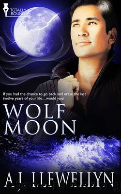Wolf Moon by A.J. Llewellyn