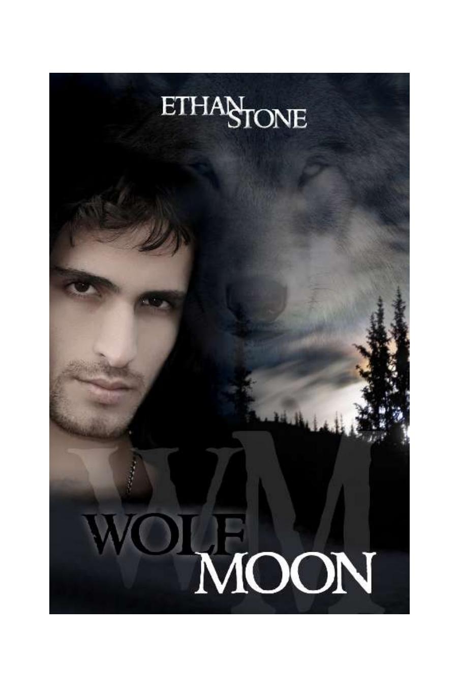 Wolf Moon by Ethan Stone