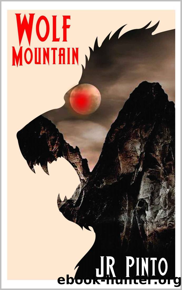 Wolf Mountain by J R Pinto