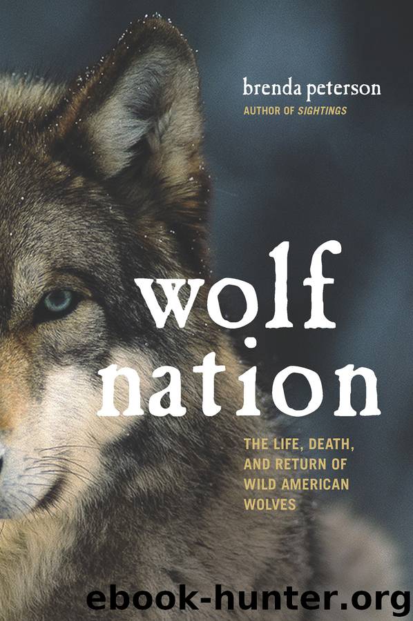 Wolf Nation by Peterson Brenda