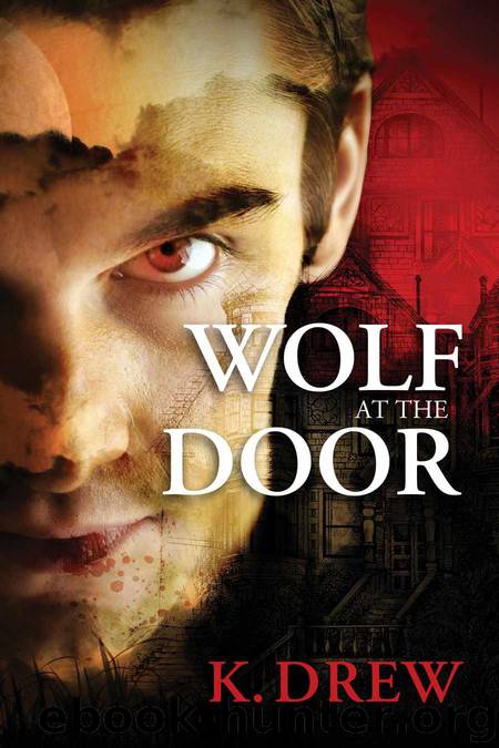 Wolf at the Door by Drew K