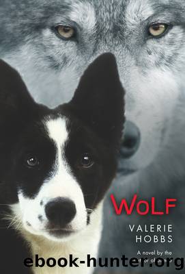 Wolf by Valerie Hobbs