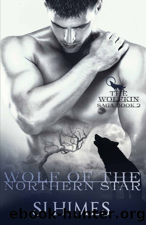 Wolf of the Northern Star by SJ Himes