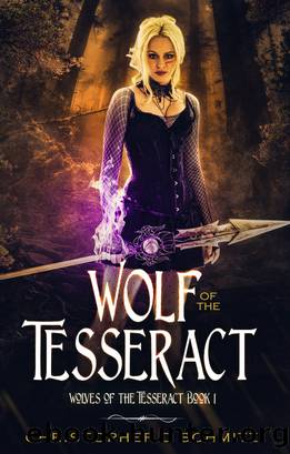 Wolf of the Tesseract by Christopher D Schmitz