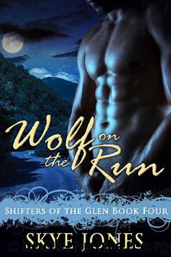 Wolf on the Run: Shifter romance (Shifters of the Glen Book 4) by Jones Skye