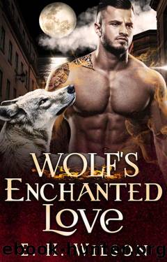 Wolf's Enchanted Instalove (Harborview Age Gap Shifters Love Saga Book 1) by E. H. Wilson
