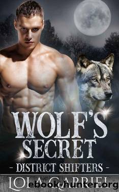 Wolf's Secret (District Shifters Book 3) by Lola Gabriel