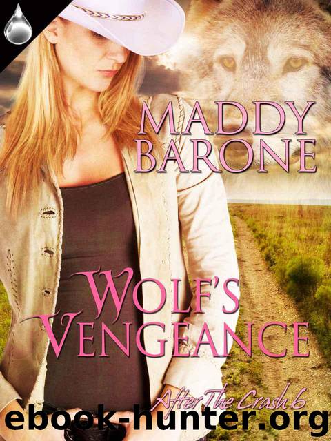 Wolf's Vengeance (After the Crash) by Barone Maddy