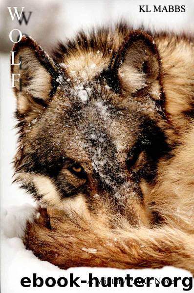 Wolf: A Military P.A.C. Novel by KL Mabbs