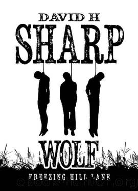 Wolf: Freezing Hill Lane by David H Sharp