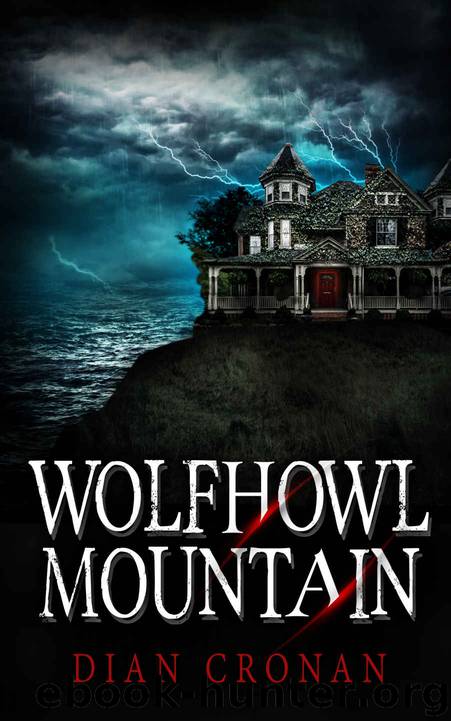 Wolfhowl Mountain by Dian Cronan