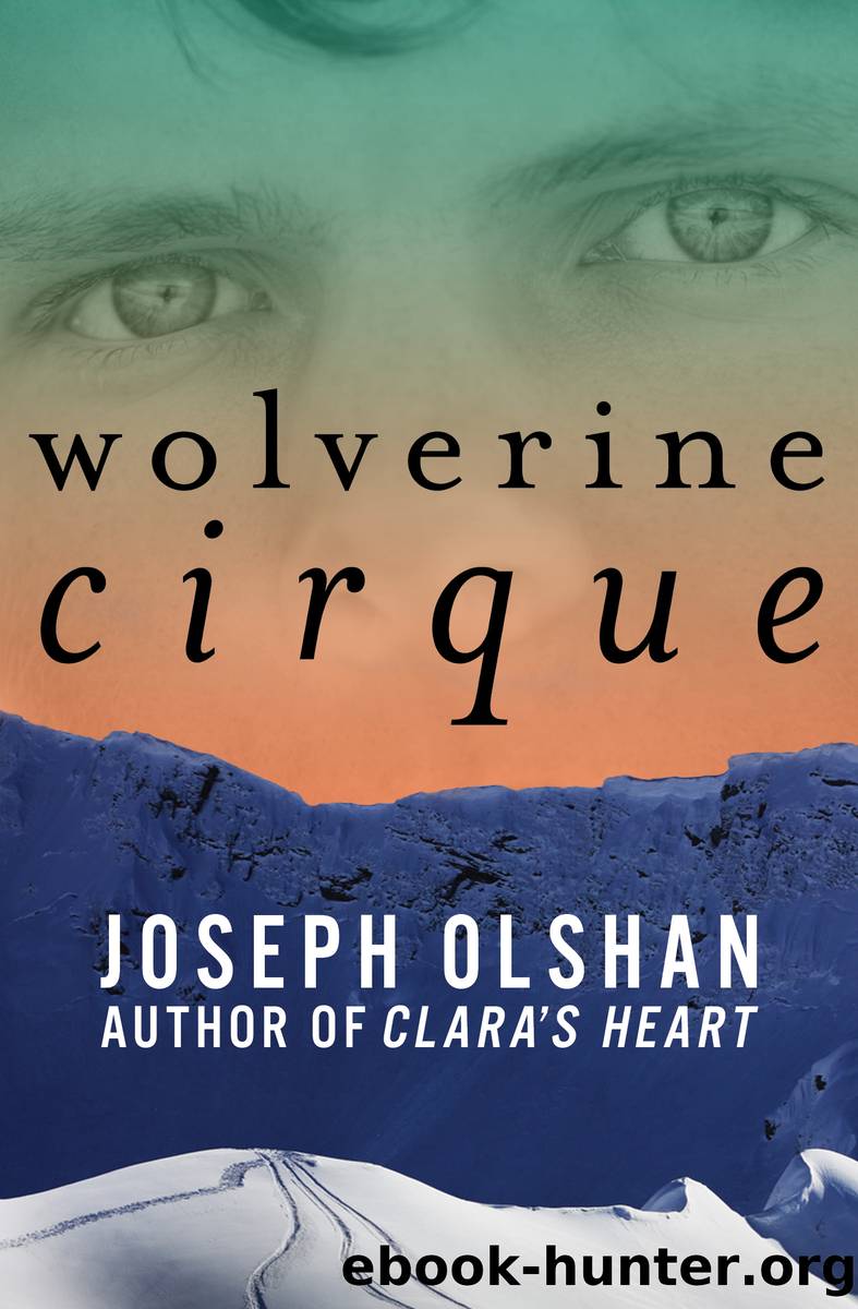 Wolverine Cirque by Joseph Olshan