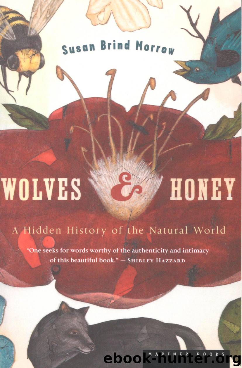 Wolves and Honey by Susan Brind Morrow