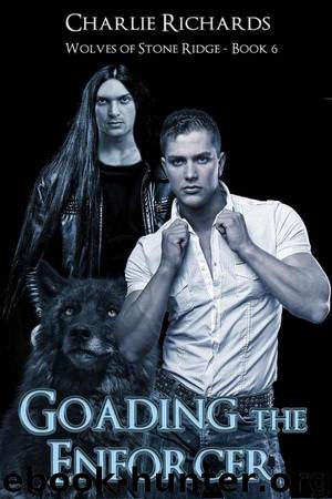 Wolves of Stone Ridge 06 - Goading the Enforcer by Charlie Richards