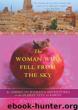Woman Who Fell From the Sky by Jennifer Steil