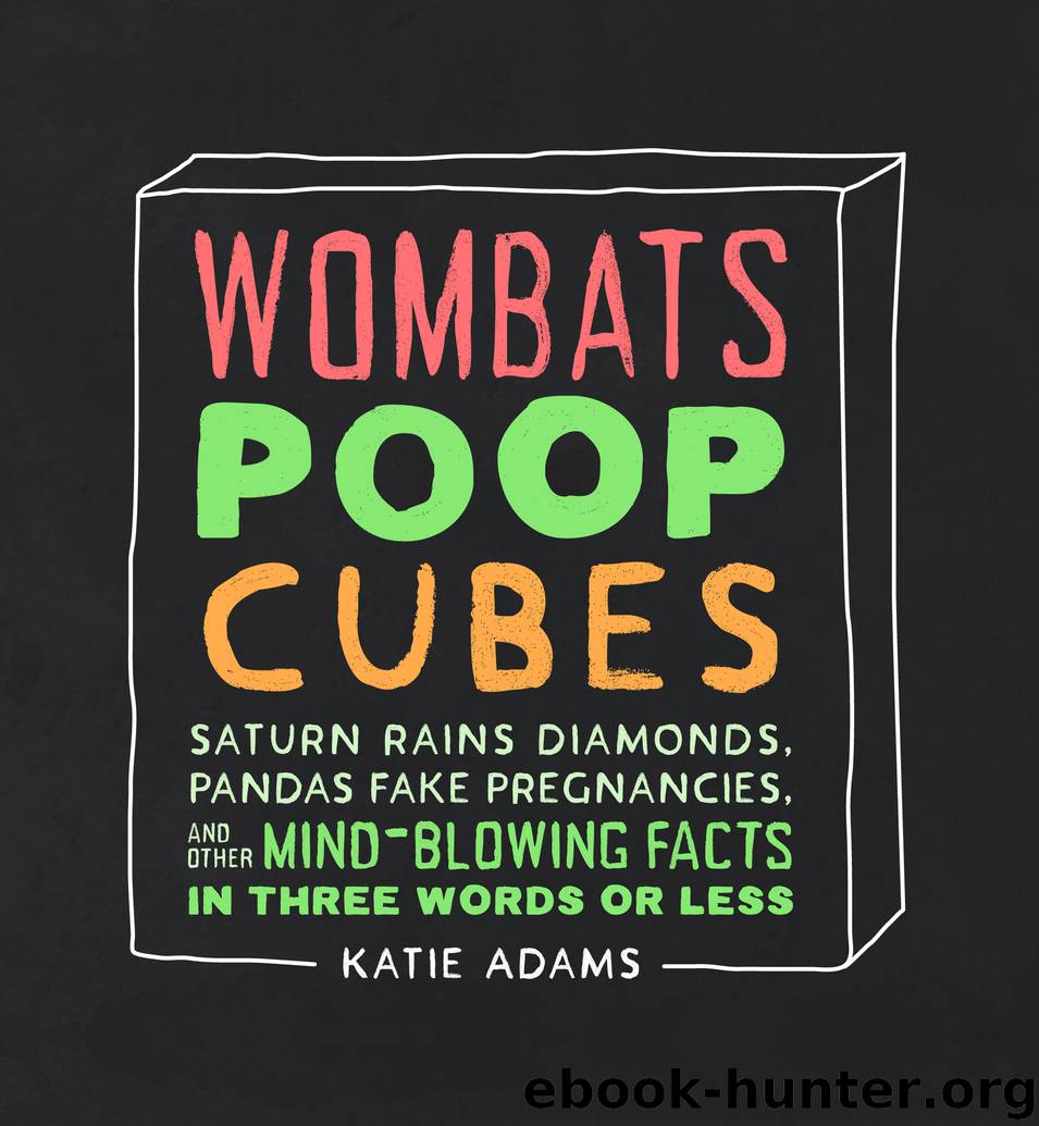 Wombats Poop Cubes by Katie Adams