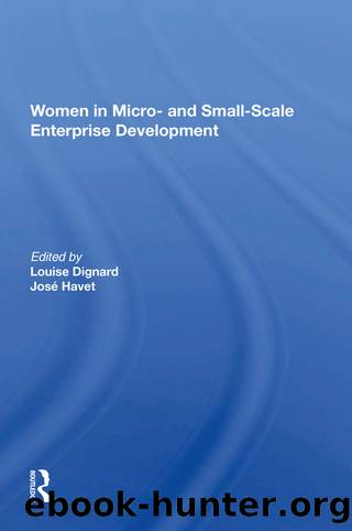 Women In Micro- And Small-scale Enterprise Development by Louise Dignard