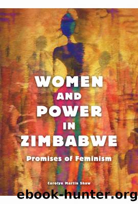 Women and Power in Zimbabwe by Carolyn Martin Shaw