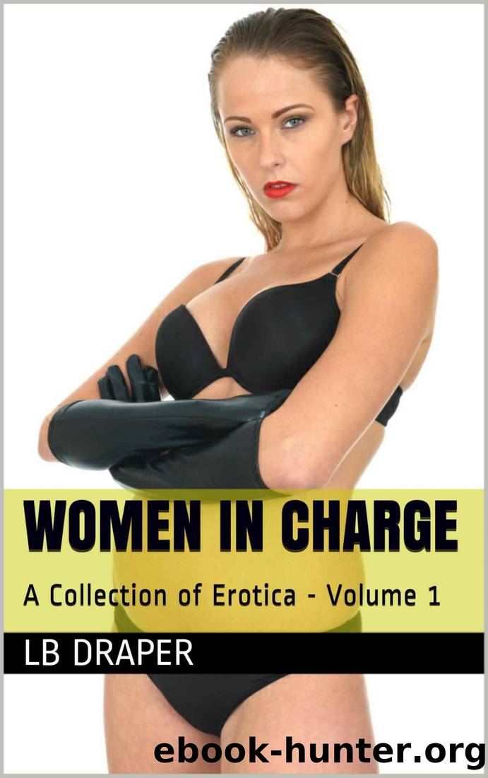 Women in Charge: A Collection of Erotica - Volume 1 by LB Draper
