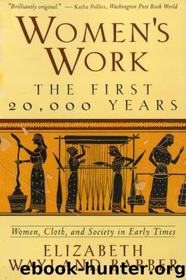Women's Work: The First 20,000 Years Women, Cloth, and Society in Early Times by Elizabeth Wayland Barber
