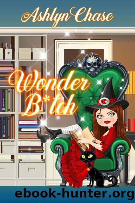Wonder B*tch by Ashlyn Chase