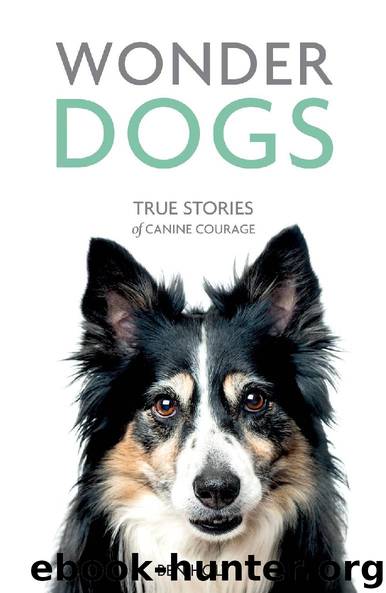 Wonder Dogs - True Stories of Canine Courage by Ben Holt