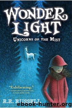 Wonder Light by R. R. Russell