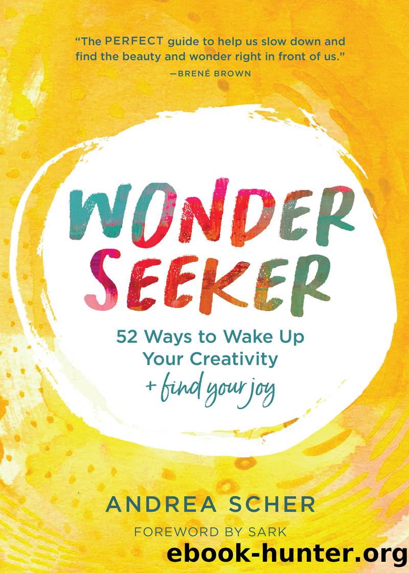 Wonder Seeker by Andrea Scher