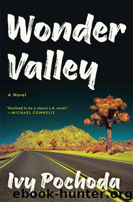 Wonder Valley by Ivy Pochoda